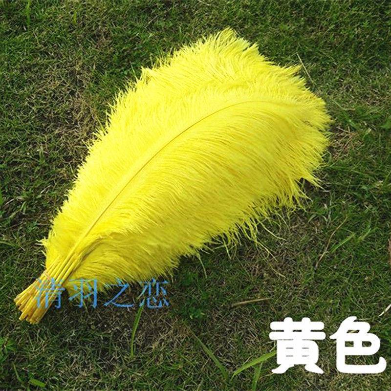 Lông Đà Điểu Dài 35-40CM Bằng Lông Vũ Dùng Làm Đồ Trang Sức / Trang Trí Tiệc Cưới / Giáng Sinh