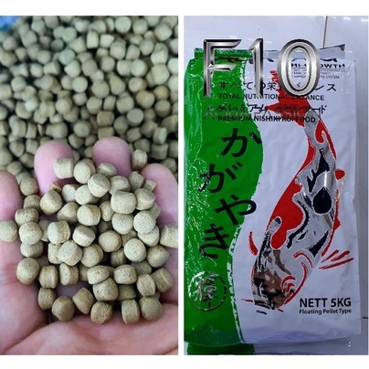 Cám Cá Koi Cao Cấp Thức ăn cá Koi cao cấp Kagayaki hạt to 1KG - Shop chuyên sỉ phụ kiện thủy sinh