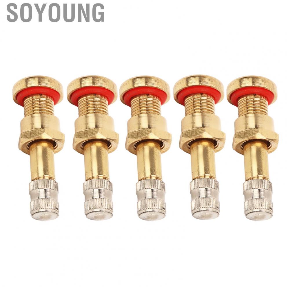 Soyoung Wheel Valve Stem  Stable Performance 20Pcs Truck Tubeless Tyre for 9.7mm Hole Van
