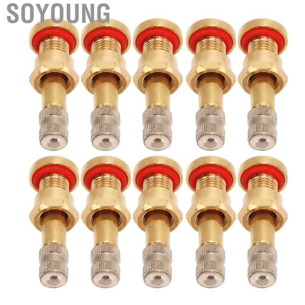 Soyoung Wheel Valve Stem  Stable Performance 20Pcs Truck Tubeless Tyre for 9.7mm Hole Van