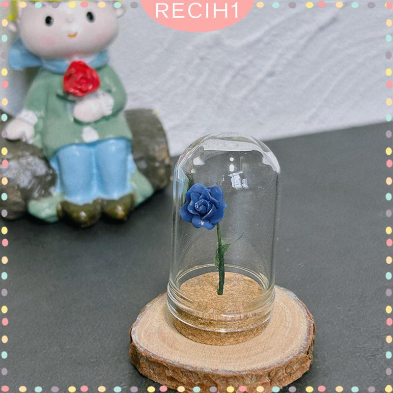 Mô Hình Chậu Hoa Tỷ Lệ 1 / 6 1 / 12 Dùng Trang Trí Nhà Búp Bê