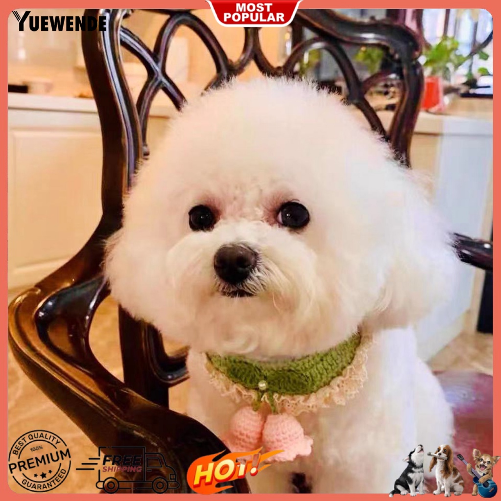 Vòng Cổ Unisex Cho Thú Cưng Đi Tiệc