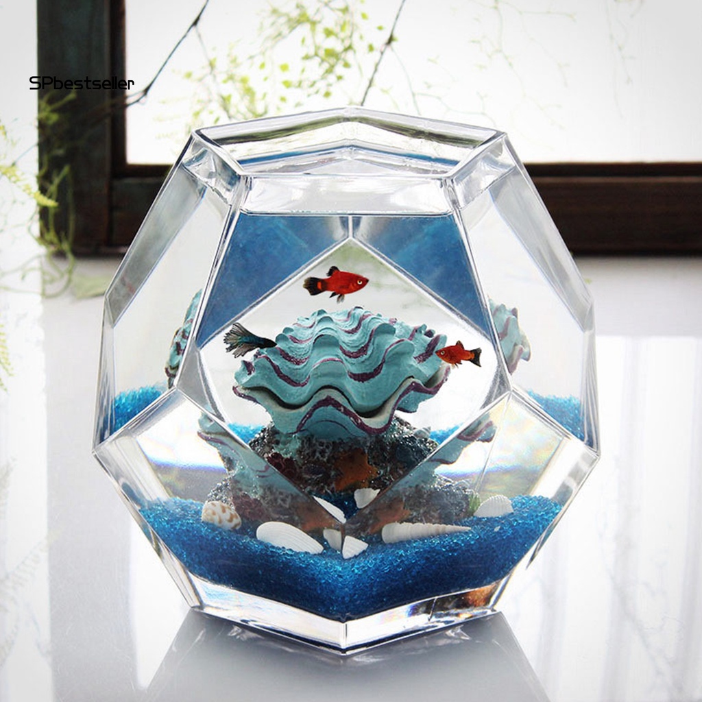 Vỏ Sò Nhân Tạo Trang Trí Bể Cá