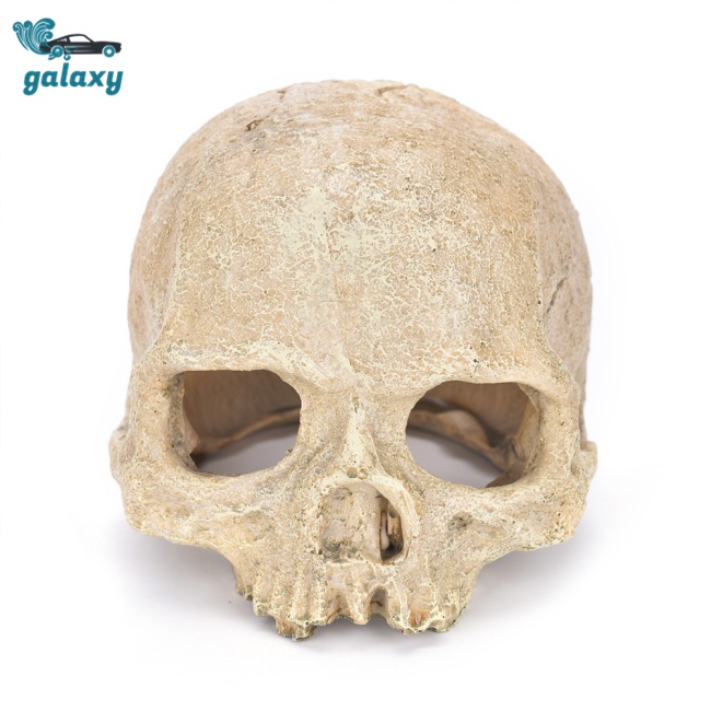 Galaxy Mô Hình Đầu Lâu Người Cho Bể Cá