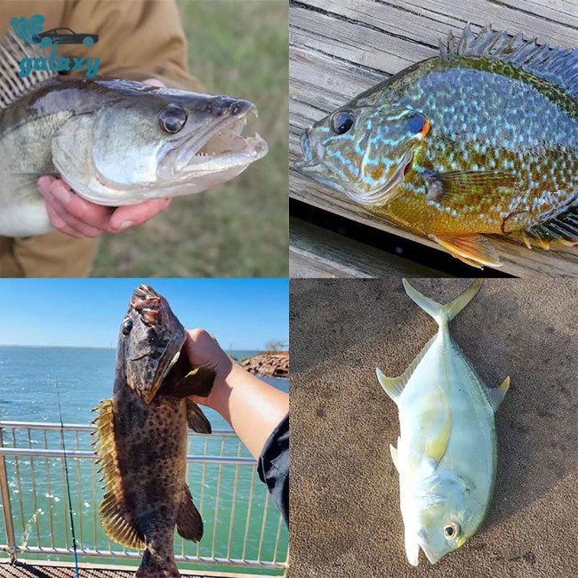 Galaxy Bộ Mồi Giả Câu Cá Hình Chữ T Bằng Nhựa