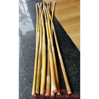 Cây Mây Dẻo Dai