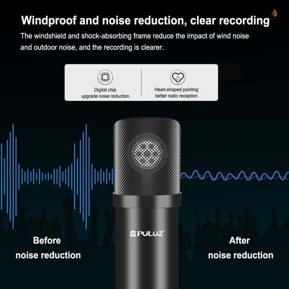 Bộ Micro Điện Dung PULUZ Hát Karaoke S-tudio Phát Sóng Cánh Tay Và Giá Đỡ Kim Loại Chống Sốc &amp; Thẻ Âm Thanh USB Cho Phòng Khách Trình Diễn