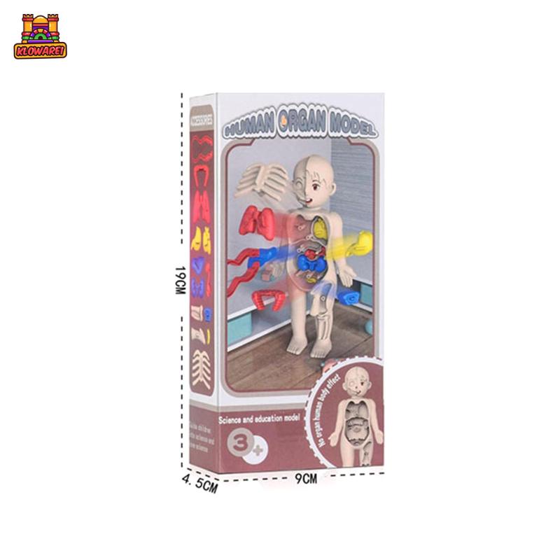 Predolo 1 Bộ Đồ Chơi Giáo Dục Cơ Thể Người Dành Cho Trẻ Mẫu Giáo