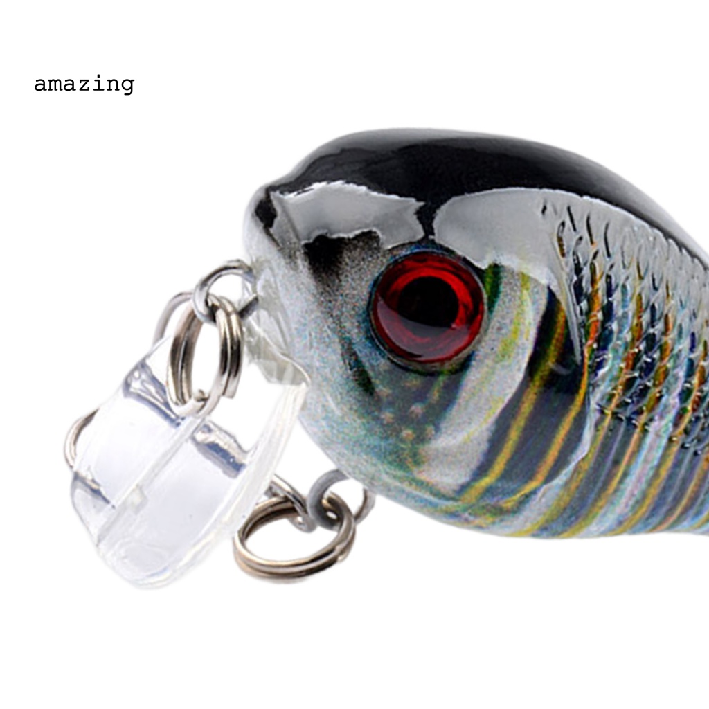 Mồi Câu Cá 6.5g Bằng Chất Liệu Cứng Màu Sắc Tươi Sáng Trọng Lượng Nhẹ Có Thể Di Chuyển Tiện Dụng