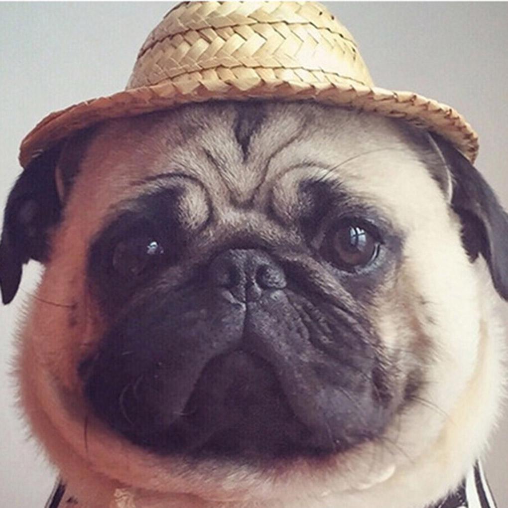 Mũ Rơm Chống Nắng Dễ Thương Cho Thú Cưng