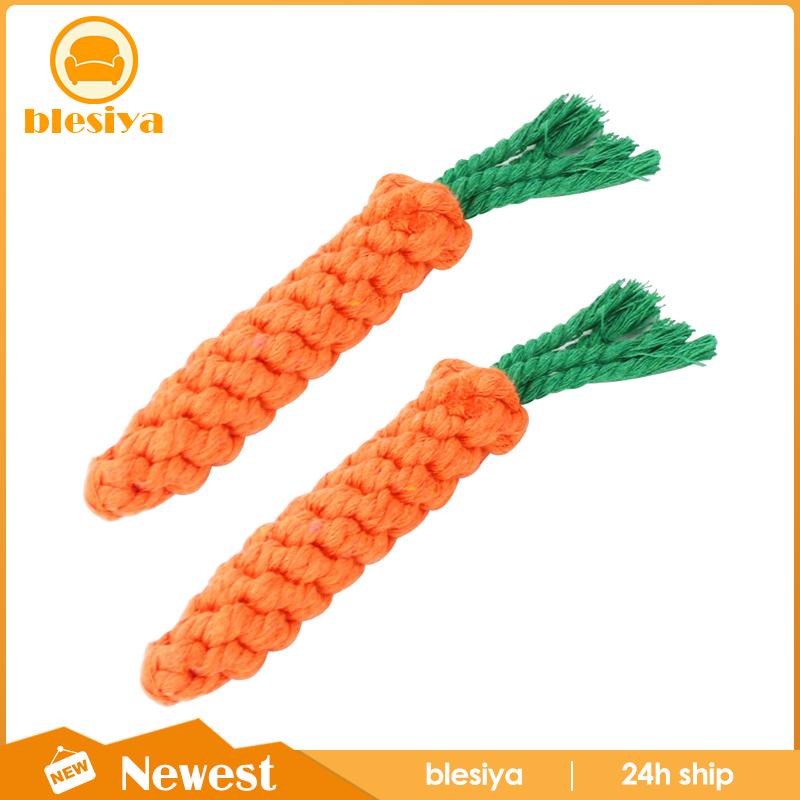 Đồ Chơi Gặm Huấn Luyện Thú Cưng Cỡ Nhỏ