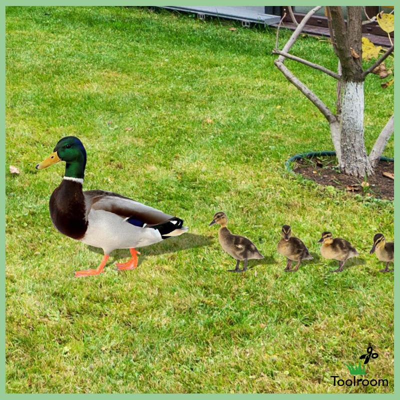 Set 5 Tượng Vịt Phẳng Điêu Khắc Trang Trí Lễ Phục Sinh