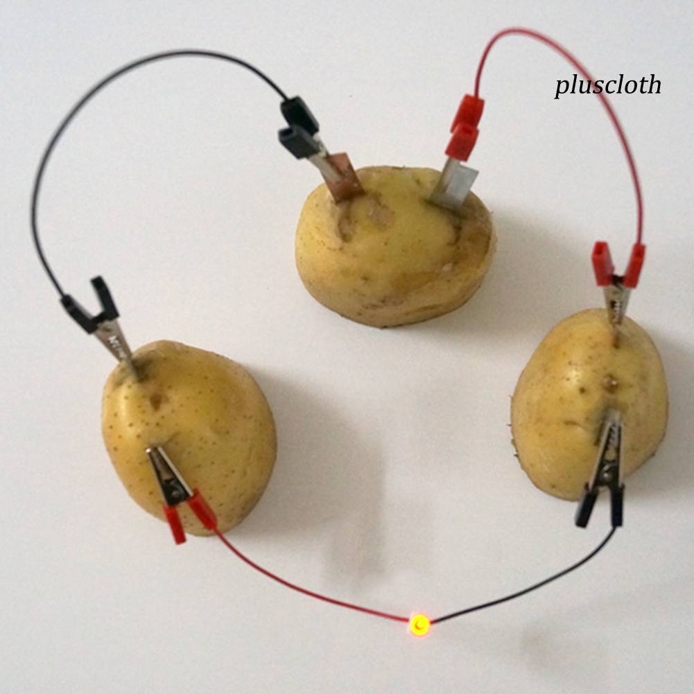 Bộ Đồ Chơi Thí Nghiệm Khoai Tây / Sinh Học Đèn Năng Lượng Mặt Trời DIY