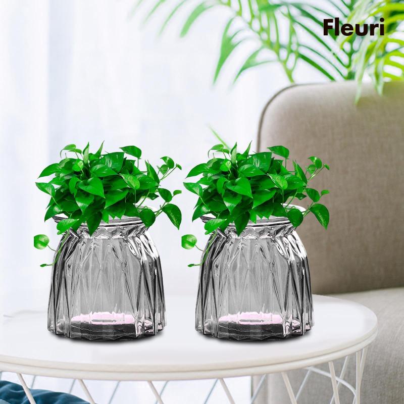 Bộ 2 Bình Hoa Thủy Tinh Dùng Cho Nông Trại / Văn Phòng