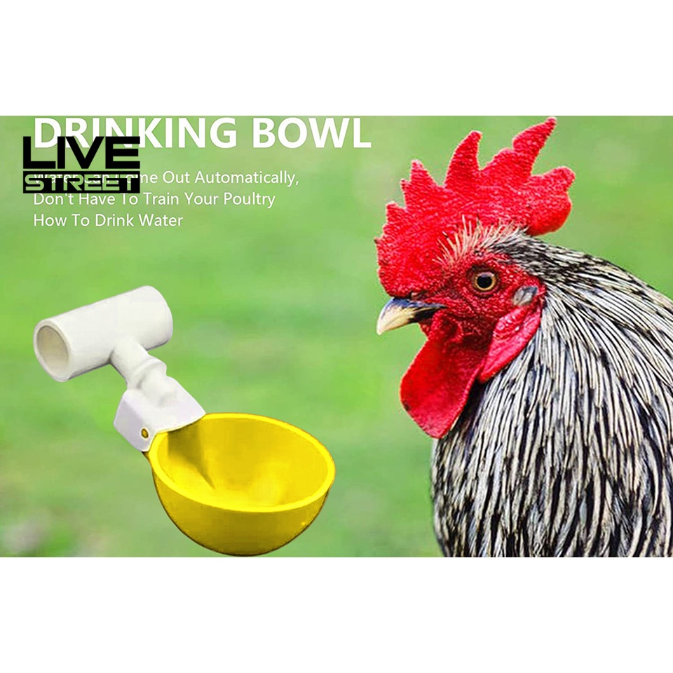 Bộ 5 Cốc Uống Nước Cho Gà Có Thể Tái Sử Dụng Tiện Lợi