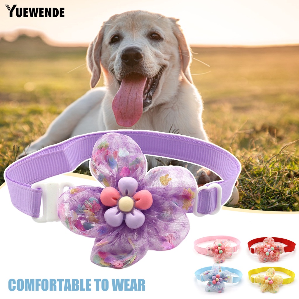 Vòng Cổ Họa Tiết Hoa Xinh Xắn Cho Thú Cưng