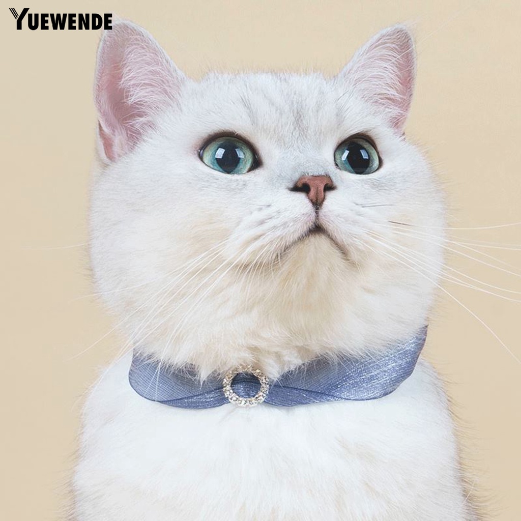 Yq.e Vòng Cổ Ruy Băng Viền Ren Đính Đá Có Thể Điều Chỉnh Thời Trang An Toàn Dành Cho Thú Cưng Mặc Hàng Ngày