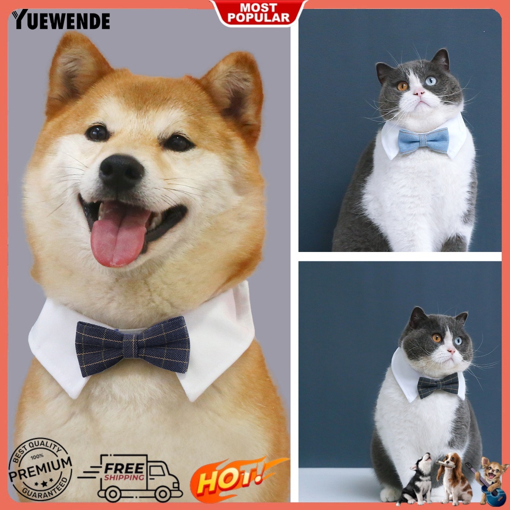 Vòng Cổ YQ.E Mềm Mại Có Thể Điều Chỉnh Dành Cho Thú Cưng