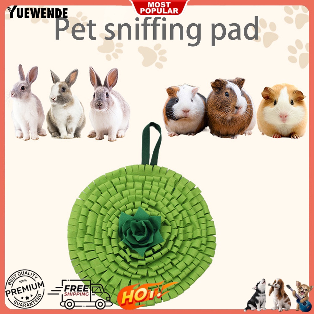 Thảm Lót Mềm Mại Chống Cắn Dùng Huấn Luyện Thú Cưng