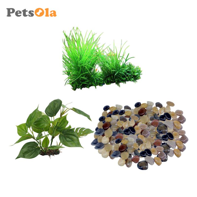 [Koolsoo21] Thực Vật Ẩn Đường Đi Trang Trí Bể Cá