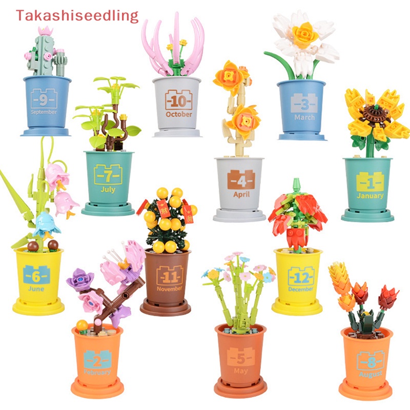 1 Cây Xương Rồng Gypsophila Trang Trí