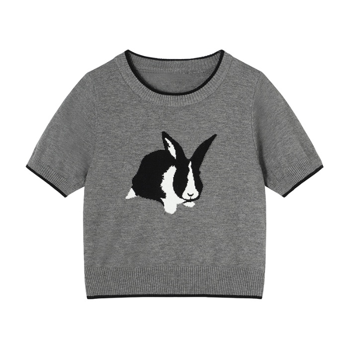 Áo Thun 100% Cotton Tay Ngắn Phong Cách Hàn Quốc Cho Nữ