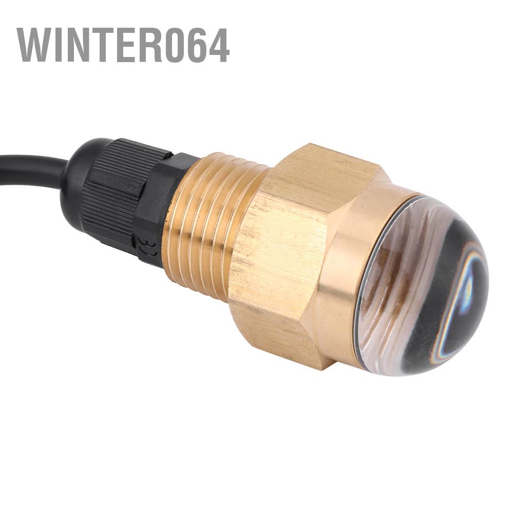Winter064 Mềm Thuyền 12V Đồng Thủy Tinh LED Xanh Dương Dưới Nước Ánh Sáng Đèn Cống Plug1/2 &quot;NPT Du Phụ Kiện