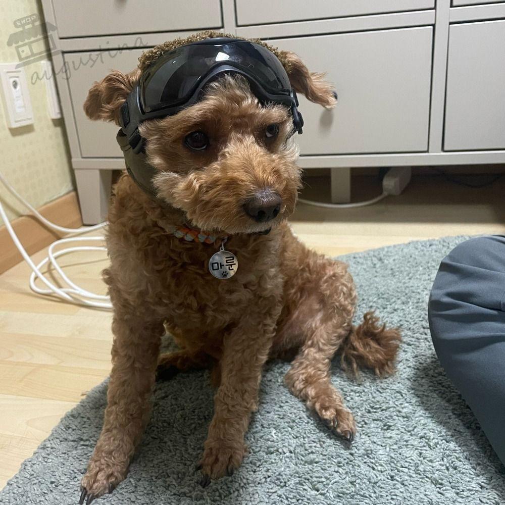 AUGUSTINA Kính Mát Gọng Mềm Chống Gió Chống Tia UV Bảo Vệ Thú Cưng