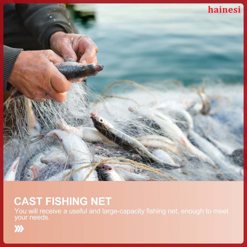 Phụ Kiện Đĩa Ném Lưới Đánh Bắt Cá Hoa Kỳ hainesi.vn