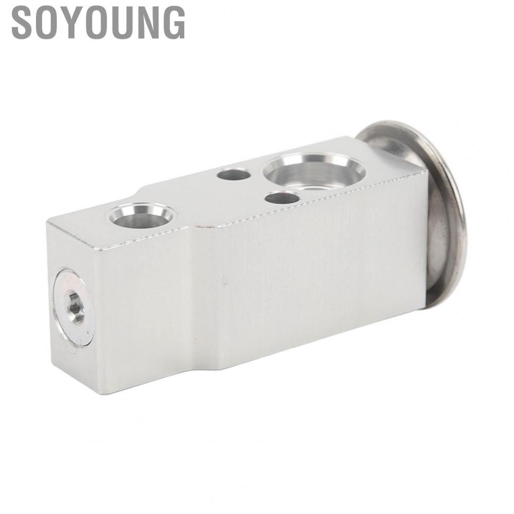 Soyoung 5139280AA  Rear AC Expansion Valve High Cooling Efficiency Rust Resistant Durable Aluminum for SUVs