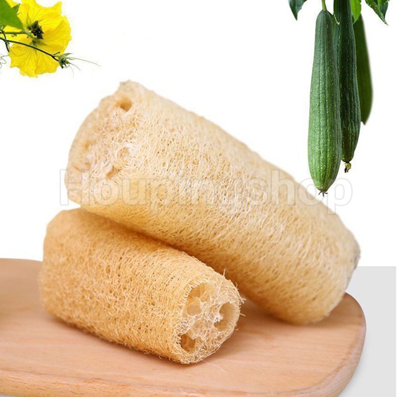 Mút Xốp Rửa Chén Bằng Xơ Mướp Tự Nhiên Chống Trầy Xước Đa Năng Tiện Dụng