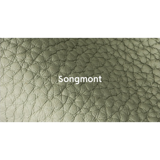 Songmont Túi Xách Da Đeo Chéo Thời Trang Dành Cho Nữ