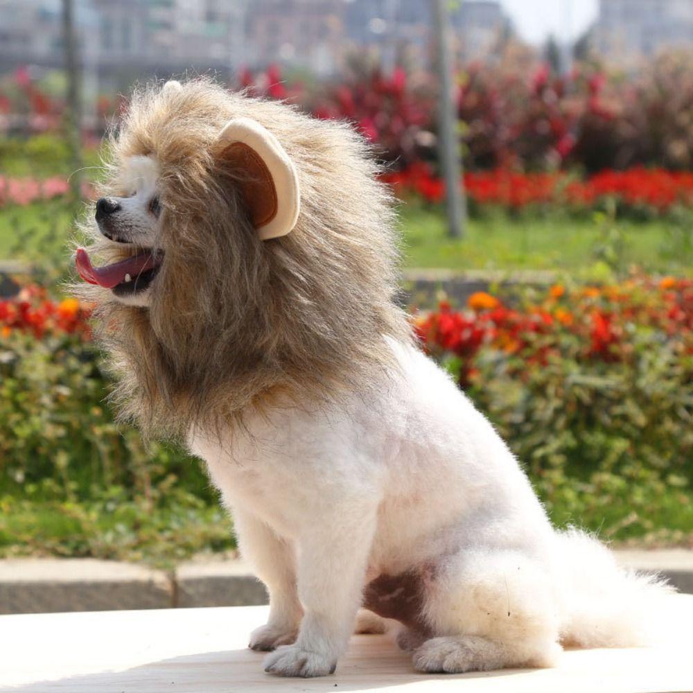 Mũ Sư Tử 26edie Thoáng Khí Tím / Nâu / Nâu Gắn Tóc Giả Mềm Mại Vui Nhộn Bằng Sợi acrylic Cho Mèo