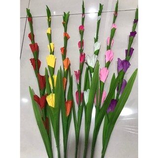 Combo 10 Hoa lay ơn đủ màu cao 80cm giá xưởng sx