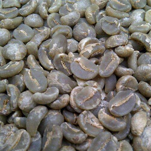NHÂN CÀ PHÊ MOKA CHƯA RANG (0.5KG) ( chuyên cây giống )