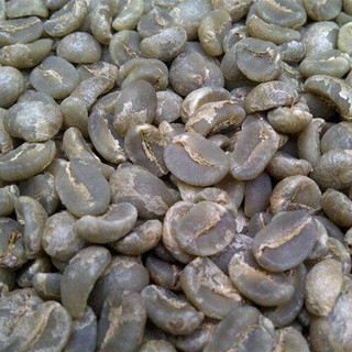 Nhân cà phê moka chưa rang