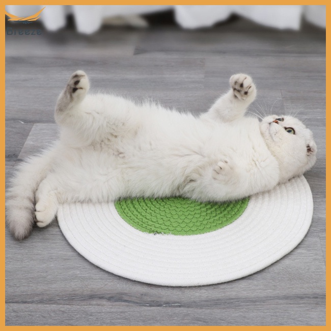 Thảm Trải Sàn Hình Tròn Chống Trầy Xước Cho Thú Cưng