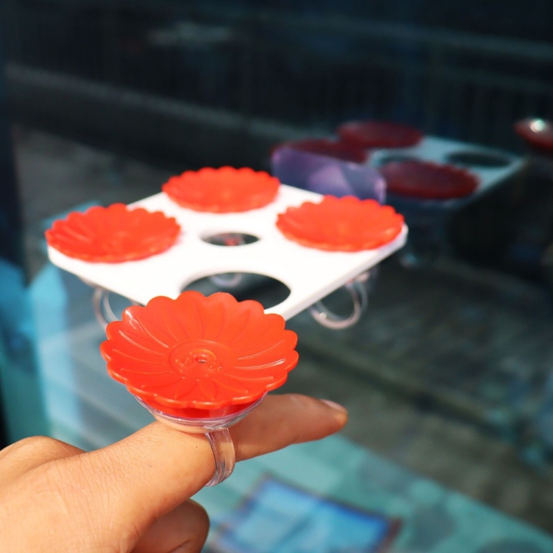 Dụng Cụ Cho Chim Ăn Gắn Sau Sân Vườn Nhiều Màu Sắc Tiện Dụng