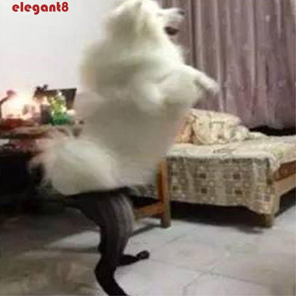 Quần Tất Lưới Co Giãn Màu Sắc Trơn Dành Cho Thú Cưng