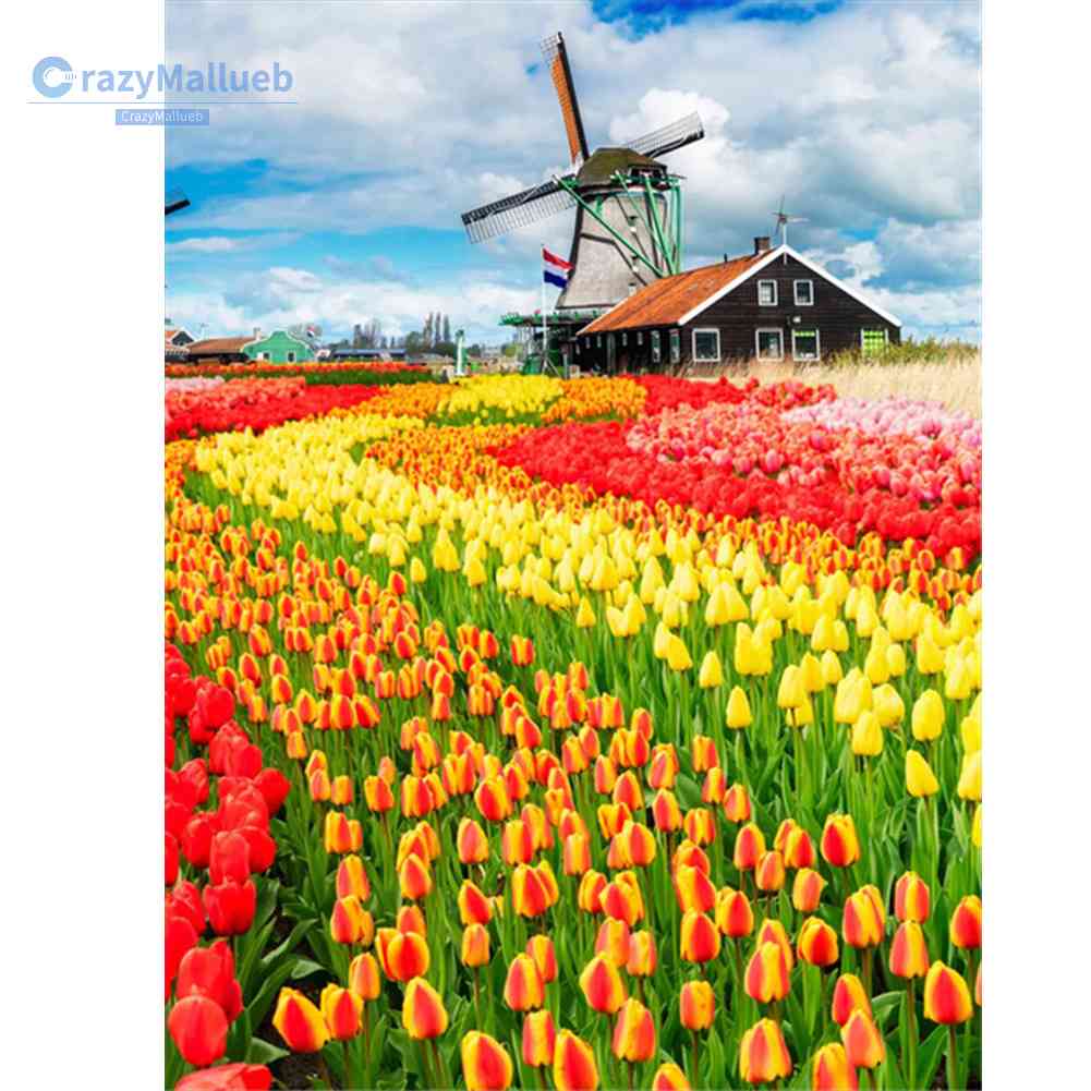 Bộ Tranh Đính Đá 5D Họa Tiết Hoa Tulip Và Cối Xay Gió Độc Đáo DIY Dùng Trang Trí Nhà Cửa 2023