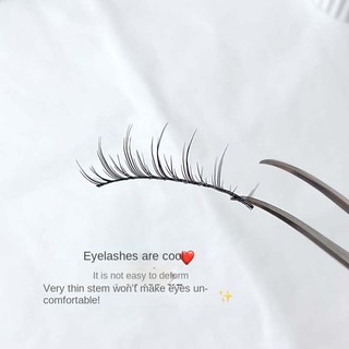 Lông Mi Giả 3D Tự Nhiên