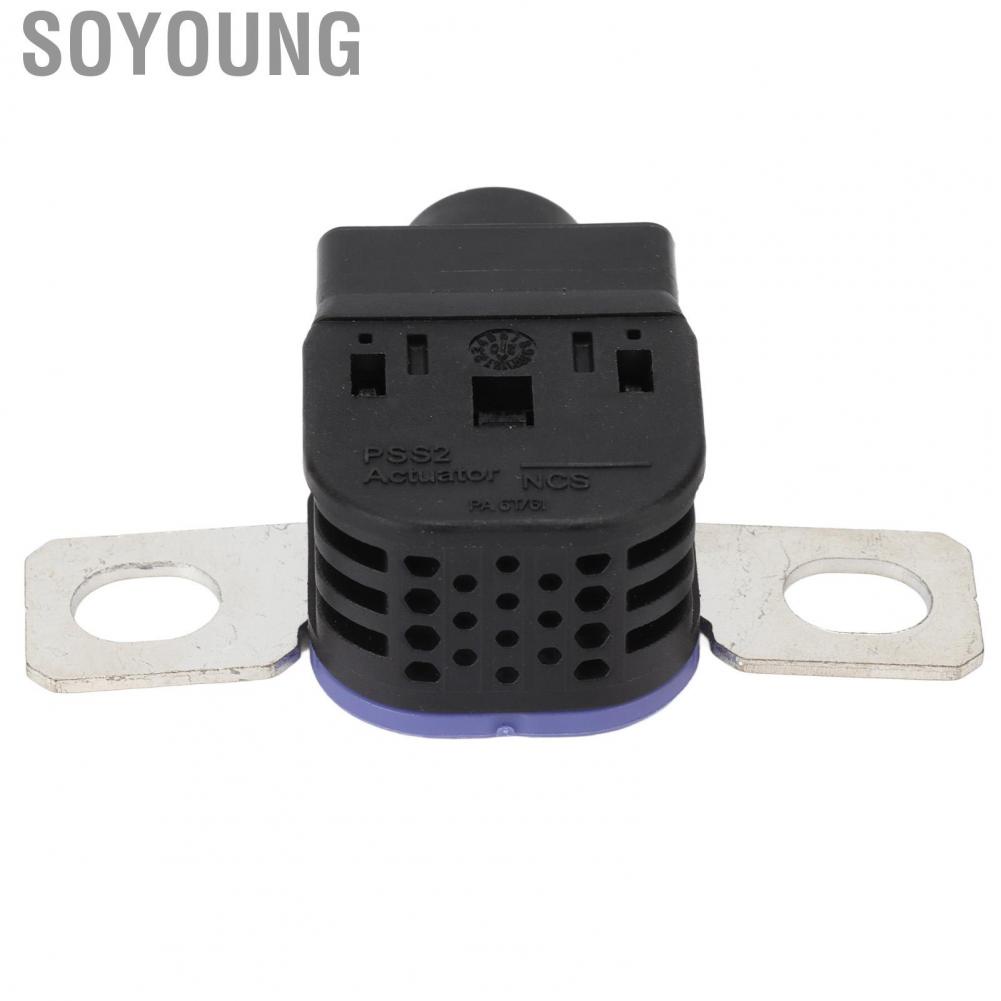 Soyoung Battery Disconnect Fuse Box Stable Current 4G0915519 Standard Size Overload Protector for Car Maintenance
