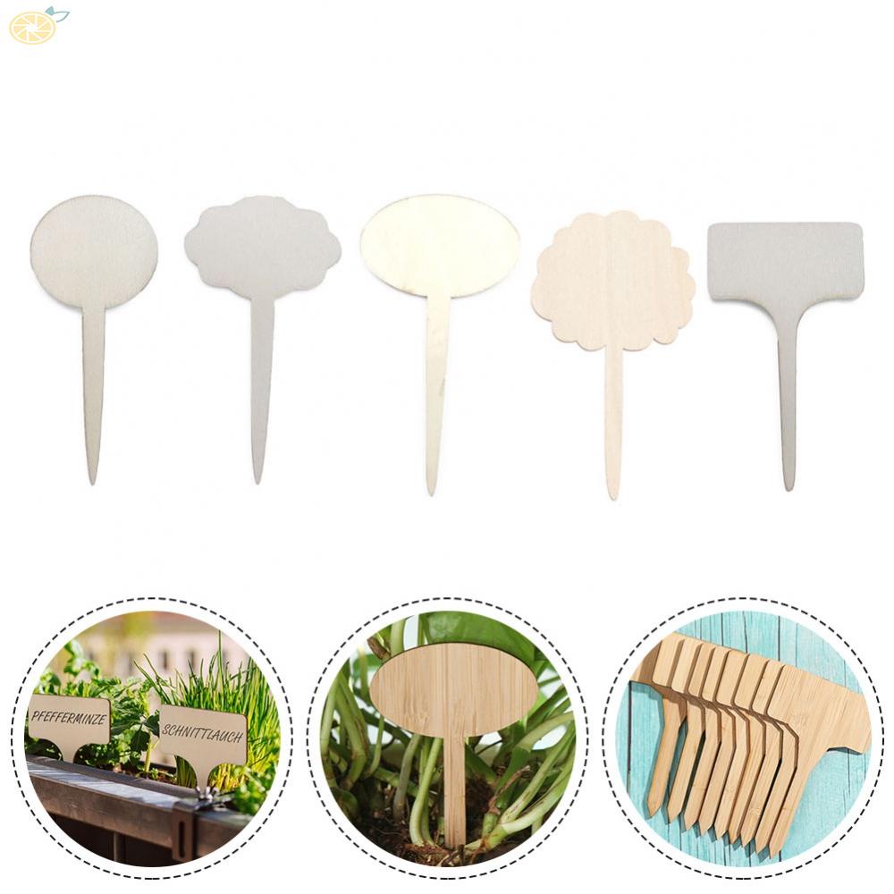 【VARSTR】Plant Labels Herbs Tools Important Markers Price Shop Wood Sign 10pcs Bamboo