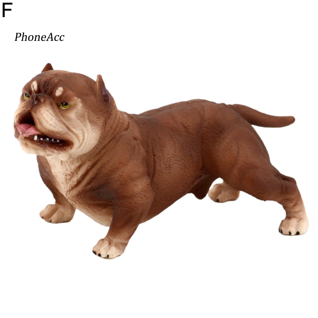 Mô Hình Chú Chó Bully Pitbull Mini Đa Năng Trang Trí Nhà Cửa