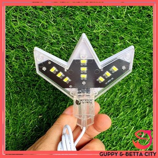 Đèn led X1 mini Clip light Jeneca cho bể cá mini