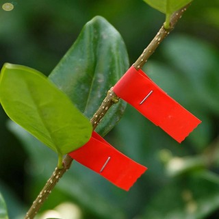 【VARSTR】Branches Tape Convenient Ideal Tools Red/Blue 30M*10mm*70mm Accessories
