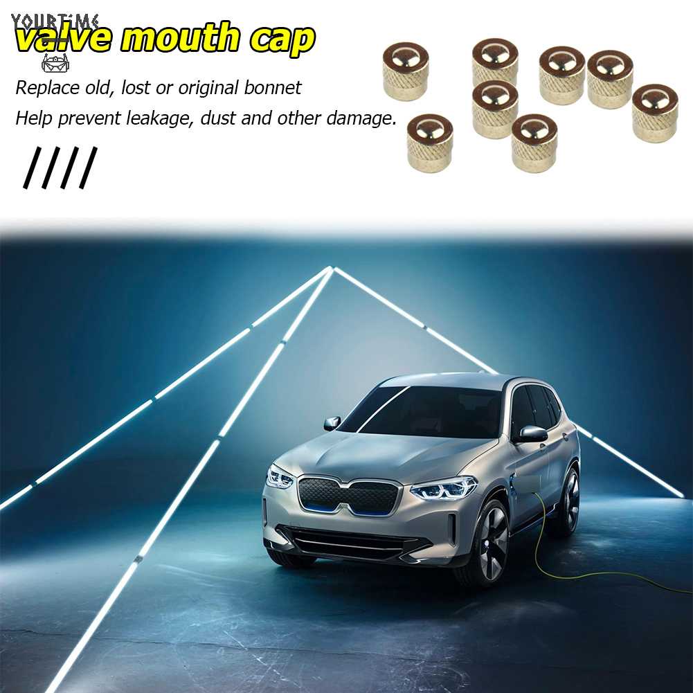 Nắp Van Bánh Xe Hơi Chống Bụi Bằng Đồng