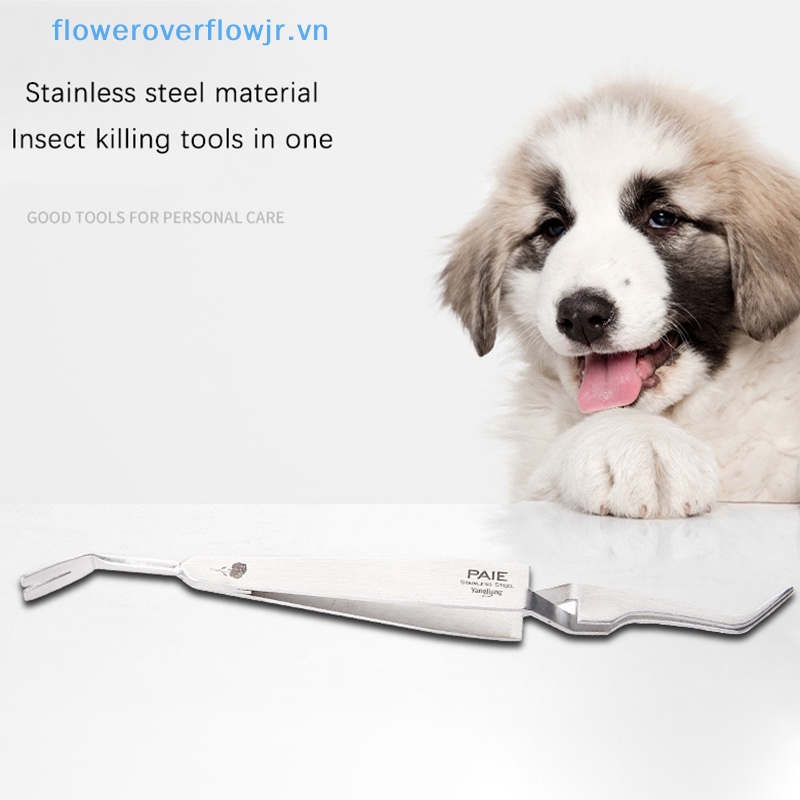 Nhíp Nhổ Lông Mèo Chuyên Nghiệp Bằng Thép Không Gỉ 2 Trong 1