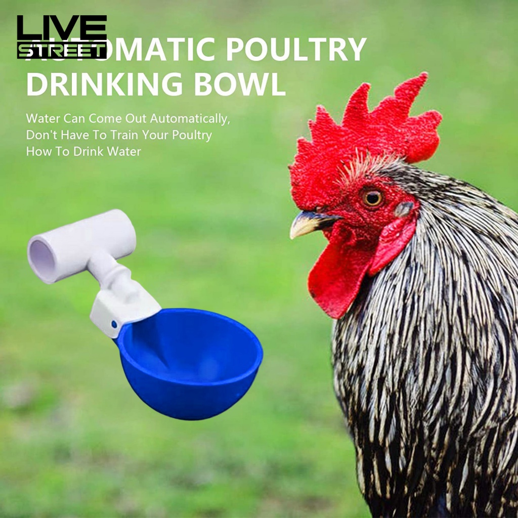 Bộ 5 Cốc Uống Nước Cho Gà Có Thể Tái Sử Dụng Tiện Lợi