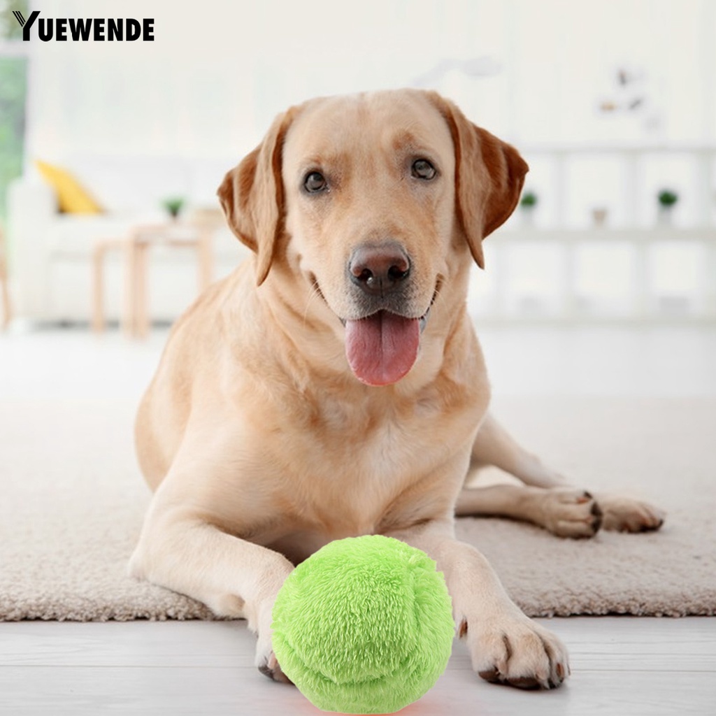 Bộ 1 Quả Bóng Đồ Chơi Điện Tử Chống Cắn Có Âm Thanh Thú Vị Cho Thú Cưng YQ.E